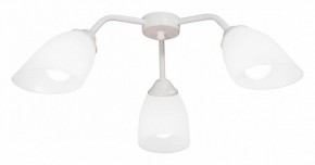 Потолочная люстра Vitaluce V31950 V31950/3PL в Кунгуре - kungur.ok-mebel.com | фото