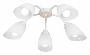 Потолочная люстра Vitaluce V31950 V31950/5PL в Кунгуре - kungur.ok-mebel.com | фото