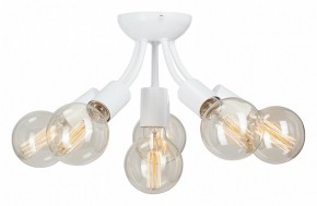 Потолочная люстра Vitaluce V3927 V3927-0/6PL в Кунгуре - kungur.ok-mebel.com | фото