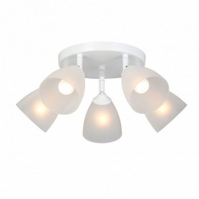 Потолочная люстра Vitaluce V4355 V4355-0/5PL в Кунгуре - kungur.ok-mebel.com | фото 2