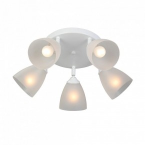 Потолочная люстра Vitaluce V4355 V4355-0/5PL в Кунгуре - kungur.ok-mebel.com | фото 3