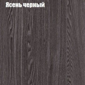 Прихожая ДИАНА-4 сек №10 (Ясень анкор/Дуб эльза) в Кунгуре - kungur.ok-mebel.com | фото 3