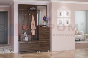 Прихожая Мелисса композиция 8 (Акация Молдау) в Кунгуре - kungur.ok-mebel.com | фото