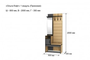 Прихожая "Ольга-Лофт 1" в Кунгуре - kungur.ok-mebel.com | фото 4