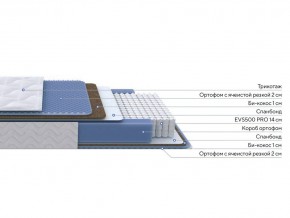 PROxSON Матрас Active Comfort M (Ткань Трикотаж Эко) 120x200 в Кунгуре - kungur.ok-mebel.com | фото 2