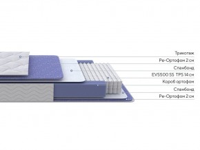 PROxSON Матрас Active F (Ткань Трикотаж Эко) 160x195 в Кунгуре - kungur.ok-mebel.com | фото 2