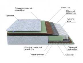 PROxSON Матрас Green M (Tricotage Dream) 120x200 в Кунгуре - kungur.ok-mebel.com | фото 6