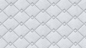 PROxSON Матрас Standart Plus M (Ткань Жаккард) 80x195 в Кунгуре - kungur.ok-mebel.com | фото 9