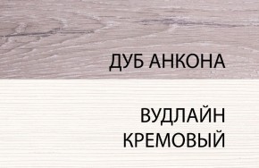 Шкаф 1DZ, OLIVIA, цвет вудлайн крем/дуб анкона в Кунгуре - kungur.ok-mebel.com | фото 3