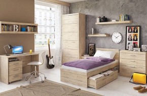 Шкаф 2D OSKAR , цвет дуб Санремо в Кунгуре - kungur.ok-mebel.com | фото 5