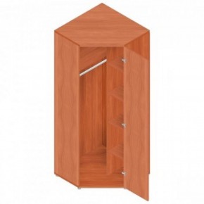 Шкаф для одежды "Референт" Р.Ш-10 в Кунгуре - kungur.ok-mebel.com | фото