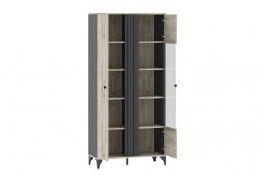 Шкаф комбинированный НМ 040.10 "Отис" в Кунгуре - kungur.ok-mebel.com | фото 2