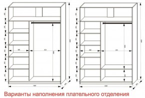 Шкаф-купе 1600 серии SOFT D6+D4+B2+PL2 (2 ящика+1штанга+1 полка) профиль «Капучино» в Кунгуре - kungur.ok-mebel.com | фото 8