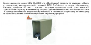 Шкаф-купе 1700 серии NEW CLASSIC K3+K3+B2+PL1 (2 ящика+1 штанга) профиль «Капучино» в Кунгуре - kungur.ok-mebel.com | фото 5