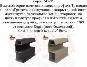 Шкаф-купе 1800 серии SOFT D1+D3+B2+PL1 (2 ящика+1штанга) профиль «Графит» в Кунгуре - kungur.ok-mebel.com | фото 11