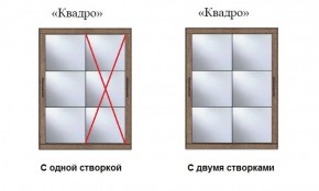 Шкаф-купе №19 Серия 3 Квадро (1700) Ясень Анкор светлый в Кунгуре - kungur.ok-mebel.com | фото 3