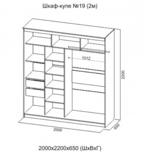 Шкаф-купе №19 Серия 3 Квадро (2000) Ясень Анкор светлый в Кунгуре - kungur.ok-mebel.com | фото 4