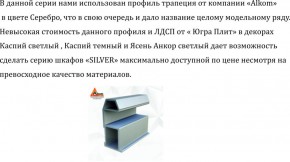 Шкаф-купе 2250 серии SILVER S3+S1+S3Z B22+PL2 (по 2 ящика лев/прав+1штанга+1 полка) профиль «Серебро» в Кунгуре - kungur.ok-mebel.com | фото 4