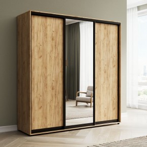 Шкаф-купе Акцент-Сим ДЗ 1500-600 в Кунгуре - kungur.ok-mebel.com | фото 4