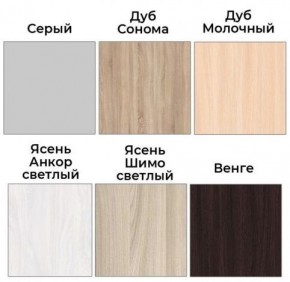 Шкаф-купе ХИТ 22-4-12/2-77 (420) в Кунгуре - kungur.ok-mebel.com | фото 3