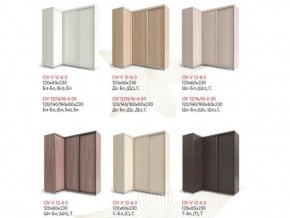 Шкаф-купе "Удачный" угловой ОУ-У 12-6-0 (Белый) в Кунгуре - kungur.ok-mebel.com | фото 2