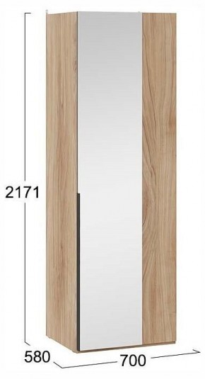 Шкаф платяной Порто СМ-393.07.007 в Кунгуре - kungur.ok-mebel.com | фото 4