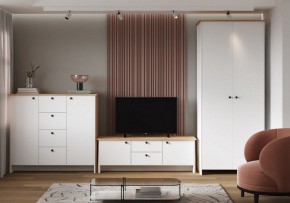 Шкаф платяной Теодора в Кунгуре - kungur.ok-mebel.com | фото 4