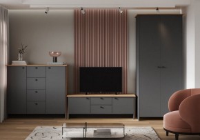 Шкаф платяной Теодора в Кунгуре - kungur.ok-mebel.com | фото 3