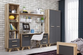 Шкаф-стеллаж 450 Вега Скандинавия в Кунгуре - kungur.ok-mebel.com | фото 6