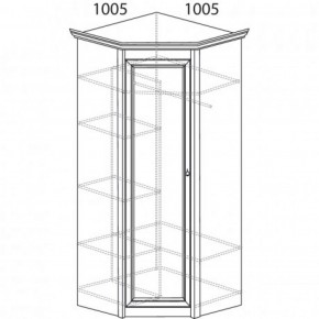 Шкаф угловой №662 "Флоренция" Фасад глухой (угол 1005*1005) Дуб оксфорд в Кунгуре - kungur.ok-mebel.com | фото 3