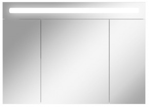 Шкаф-зеркало Аврора 100 с подсветкой LED Домино (DV8012HZ) в Кунгуре - kungur.ok-mebel.com | фото 1
