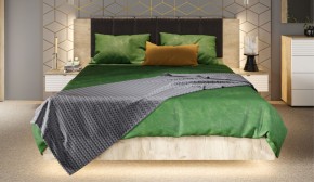 Спальня Джулия Кровать 160 МИ с подъемным механизмом Дуб крафт серый в Кунгуре - kungur.ok-mebel.com | фото 4