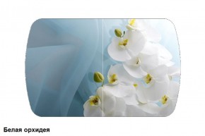 Стол Бостон 900*600 (опоры Брифинг) Стекло/фотопечать Белая Орхидея в Кунгуре - kungur.ok-mebel.com | фото