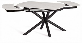 Стол обеденный Winston в Кунгуре - kungur.ok-mebel.com | фото 3