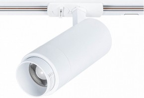 Светильник на штанге Arte Lamp Merak A3530PL-1WH в Кунгуре - kungur.ok-mebel.com | фото