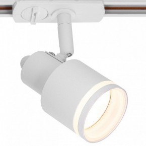 Светильник на штанге Citilux Bruno CL565T10 в Кунгуре - kungur.ok-mebel.com | фото 2