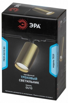 Светильник на штанге Эра  TR39-GU10 BS в Кунгуре - kungur.ok-mebel.com | фото 4