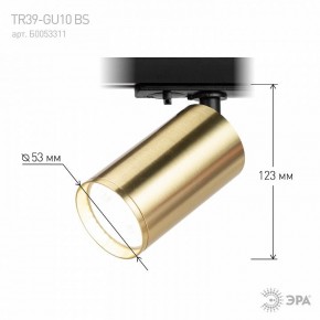 Светильник на штанге Эра  TR39-GU10 BS в Кунгуре - kungur.ok-mebel.com | фото 6