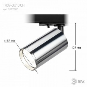 Светильник на штанге Эра  TR39-GU10 СН в Кунгуре - kungur.ok-mebel.com | фото 7