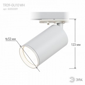 Светильник на штанге Эра  TR39-GU10 WH в Кунгуре - kungur.ok-mebel.com | фото 7