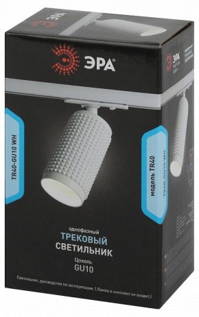 Светильник на штанге Эра  TR40-GU10 WH в Кунгуре - kungur.ok-mebel.com | фото 7