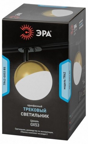 Светильник на штанге Эра  TR42-GX53 BS в Кунгуре - kungur.ok-mebel.com | фото 6
