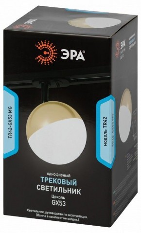 Светильник на штанге Эра  TR42-GX53 MG в Кунгуре - kungur.ok-mebel.com | фото 6