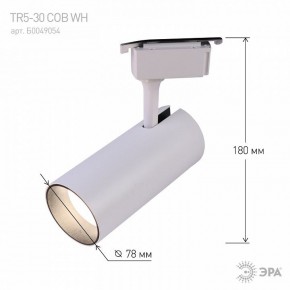 Светильник на штанге Эра  TR5-30 COB WH в Кунгуре - kungur.ok-mebel.com | фото 6