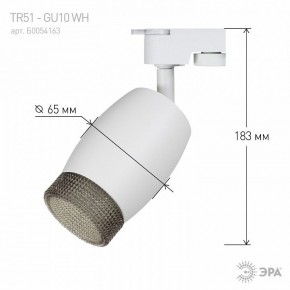 Светильник на штанге Эра  TR51 - GU10 WH в Кунгуре - kungur.ok-mebel.com | фото 4