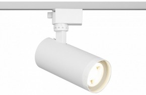 Светильник на штанге Эра  TR59 - 2040 WH в Кунгуре - kungur.ok-mebel.com | фото