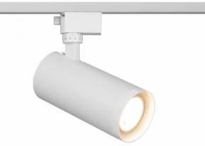 Светильник на штанге Эра  TR59 - 3030 WH в Кунгуре - kungur.ok-mebel.com | фото