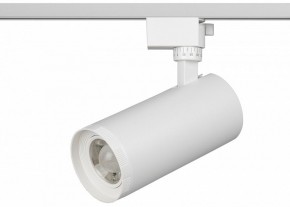 Светильник на штанге Эра  TR59 - 3030 WH в Кунгуре - kungur.ok-mebel.com | фото 2