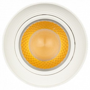 Светильник на штанге Эра  TR59 - 3030 WH в Кунгуре - kungur.ok-mebel.com | фото 3