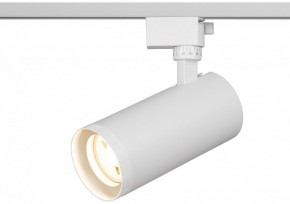 Светильник на штанге Эра  TR59 - 3030 WH в Кунгуре - kungur.ok-mebel.com | фото 5
